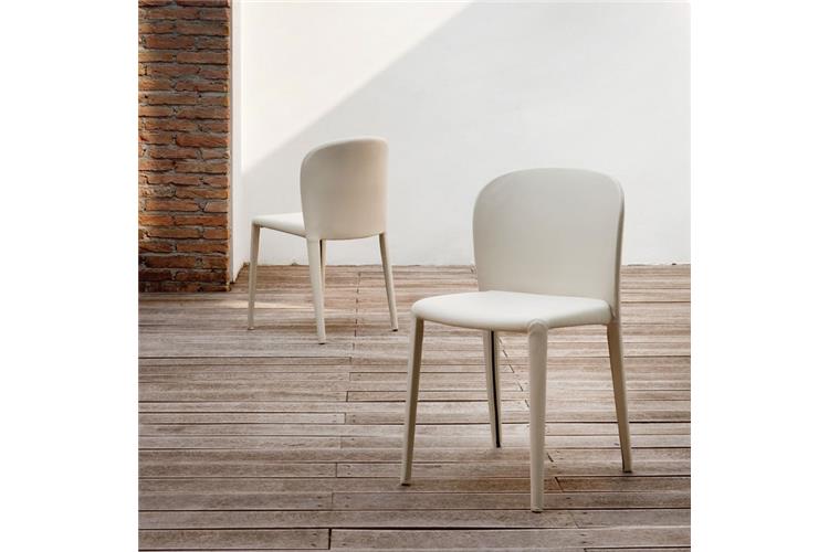 Cattelan Italia Sedia Daisy sedia in vendita online su Mobilcasa Pisa