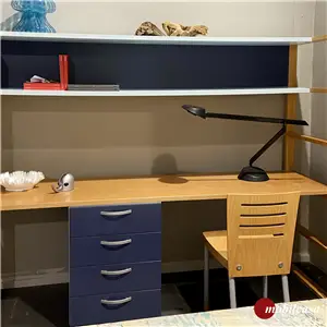 Citterio Libreria con piano e cassettiera faggio/blu