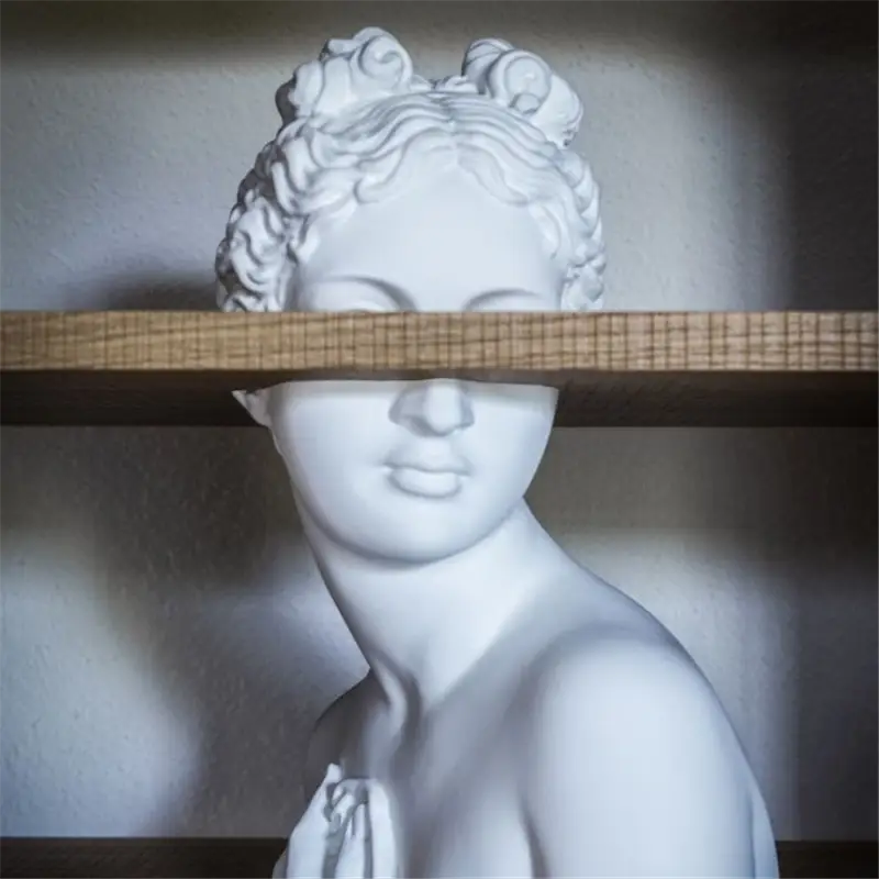 Driade Venus Libreria