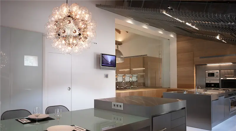 Flos Taraxacum 88 S1