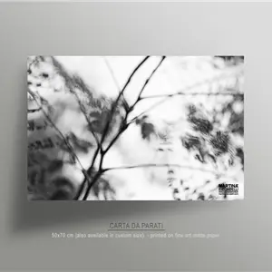 Martina Ridondelli Photographer carta da parati