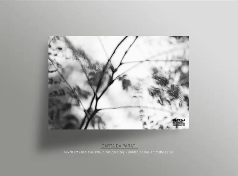 Martina Ridondelli Photographer carta da parati
