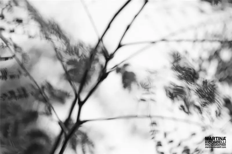 Martina Ridondelli Photographer carta da parati