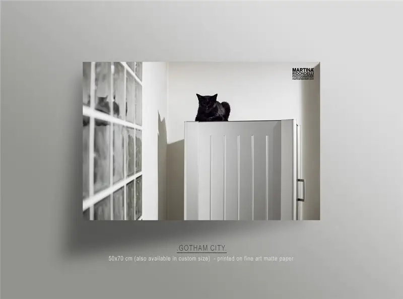 Martina Ridondelli Photographer gotham city