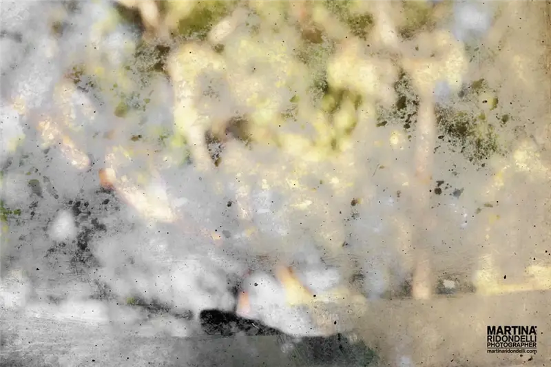 Martina Ridondelli Photographer mario