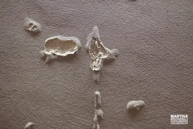 Martina Ridondelli Photographer toccami