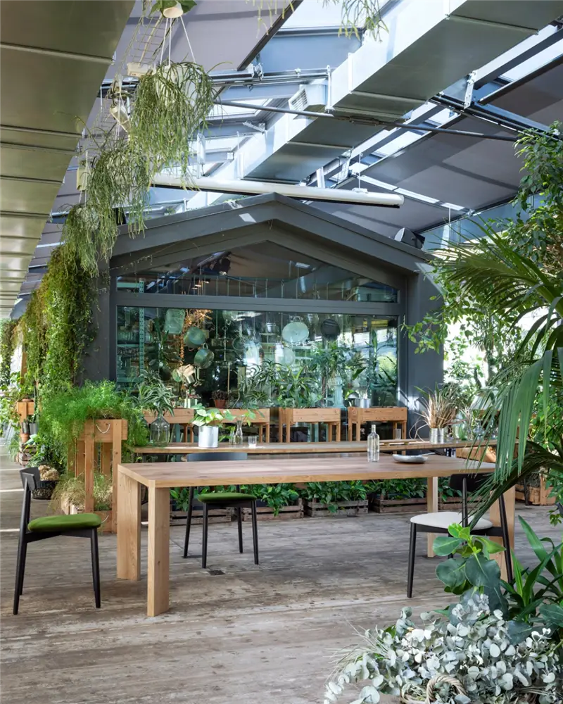 Miniforms Manero Tavolo