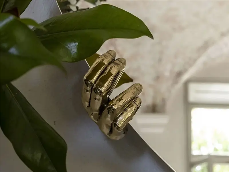 Mogg Selfie Specchio