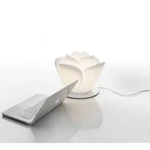 Myyour Baby Love da Tavolo