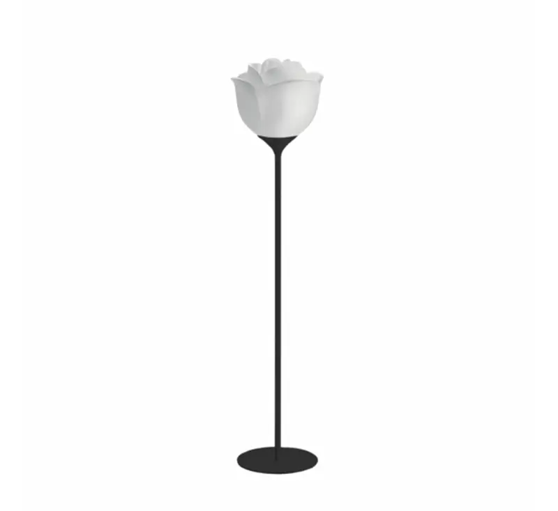 Myyour Baby Love Terra H 155 indoor