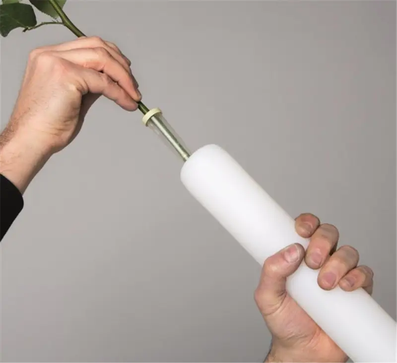 Myyour Ampoule S Vaso/Lampada LED Bianco indoor