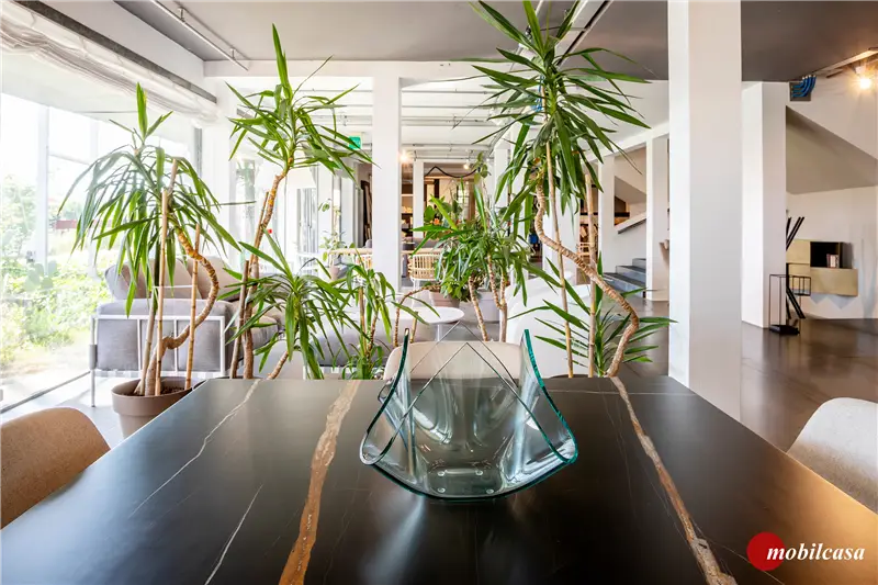 Nemo Crown minor 12 - Nero