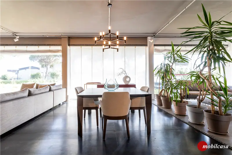 Nemo Crown minor 12 - Nero