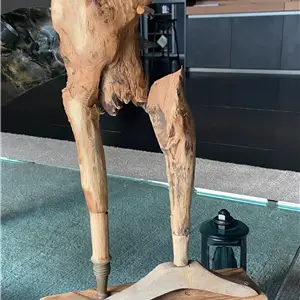 Riccardo Bianchi Artista Grande beta - Scultura in legno