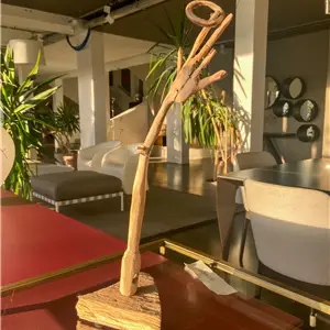 Riccardo Bianchi Artista In Landia - Scultura in legno