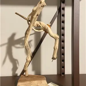 Riccardo Bianchi Artista In Sorinia - Scultura in legno