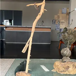 Riccardo Bianchi Artista Mazinga - Scultura in legno