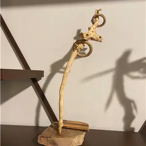 Riccardo Bianchi Artista Noi uno - Scultura in legno