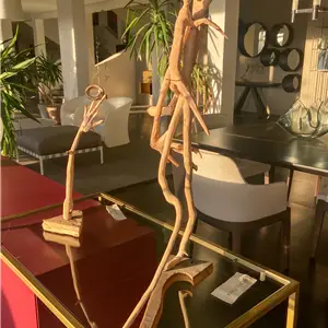 Riccardo Bianchi Artista Propolitania - Scultura in legno