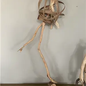 Riccardo Bianchi Artista Verso Sera - Scultura in legno