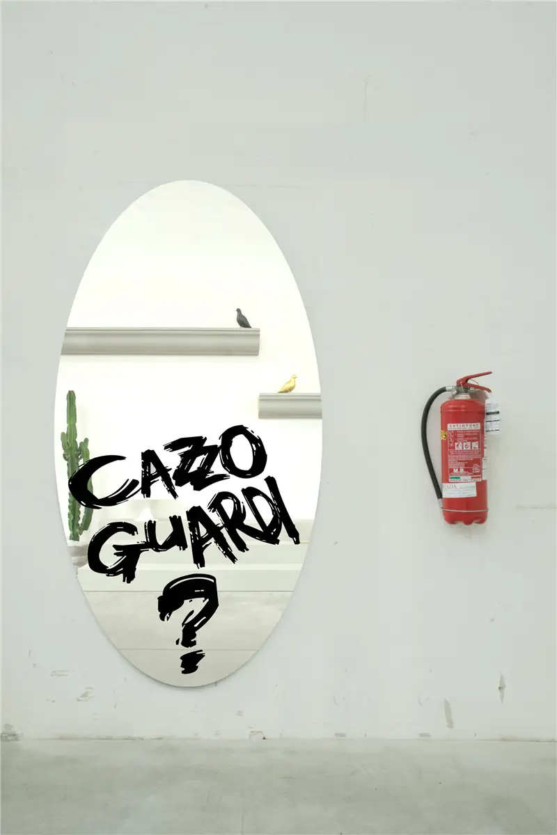 Sturm Milano Cazzo Guardi Specchio