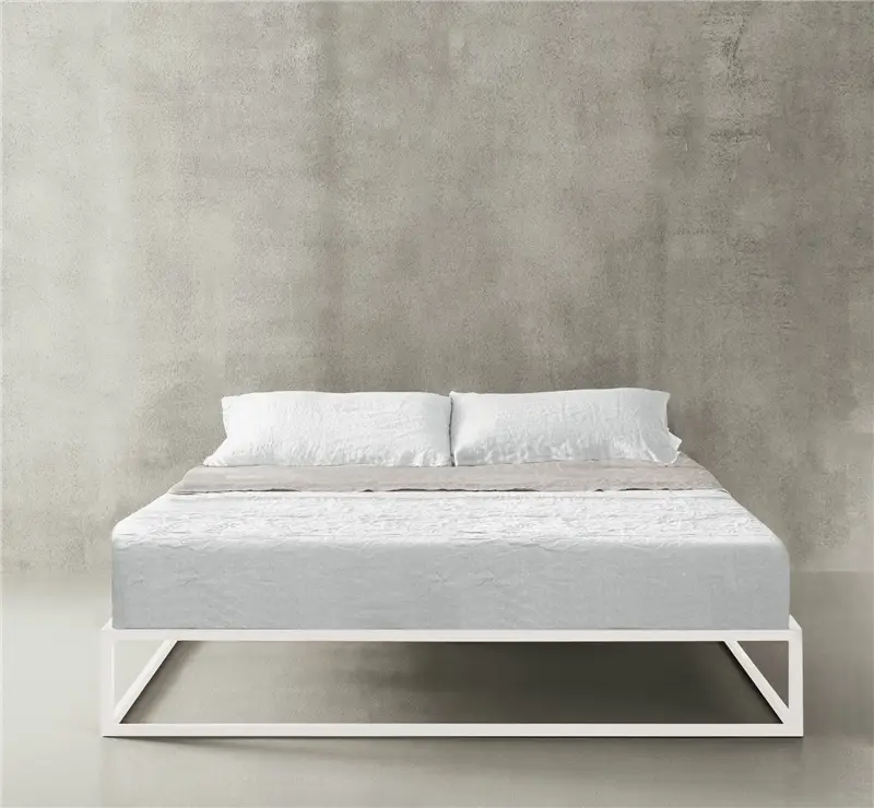 XAM Asha Basic Letto