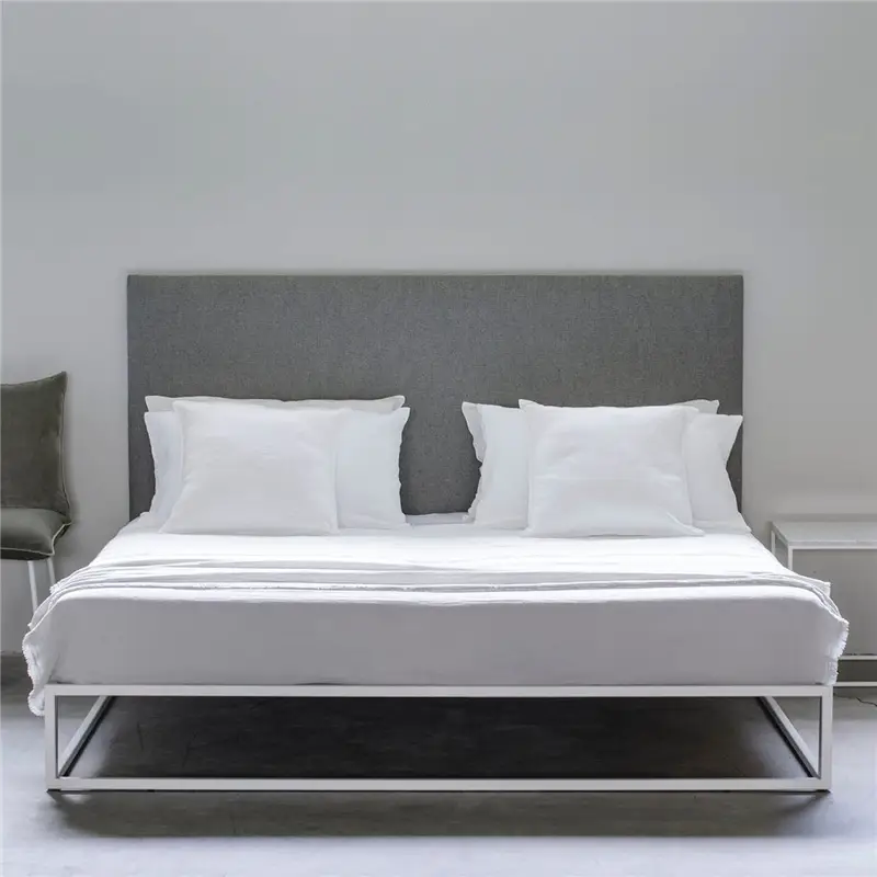 XAM Asha Basic Letto