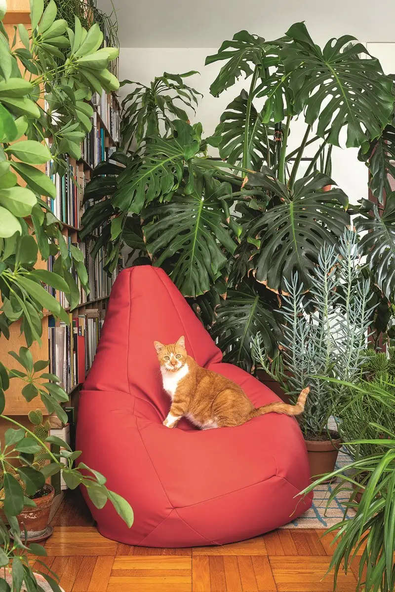 Zanotta Sacco Poltrona