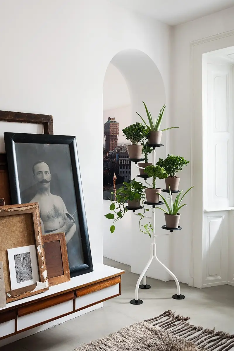 Zanotta Albero Portavasi Smontabile