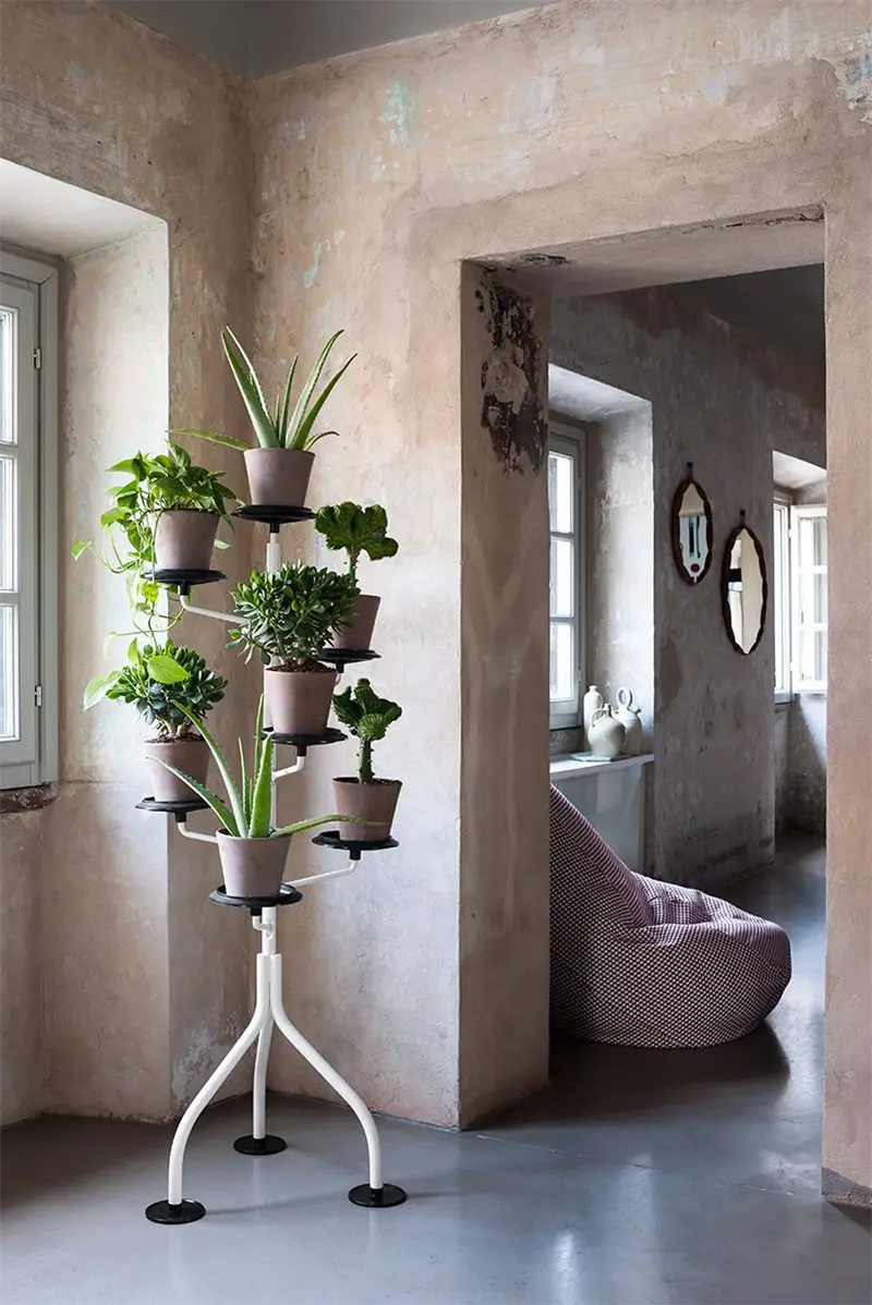 Zanotta Albero Portavasi Smontabile